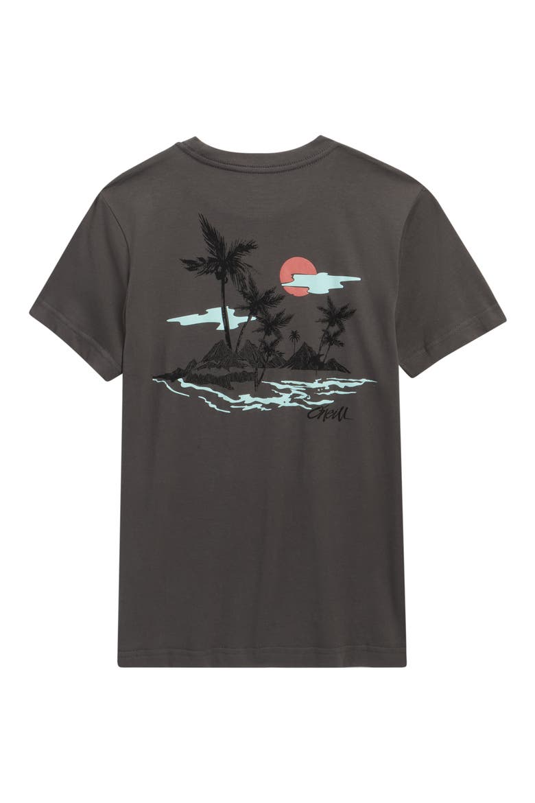 Kids' Veer Cotton Graphic T-Shirt, Alternate, color, DARK SHADOW