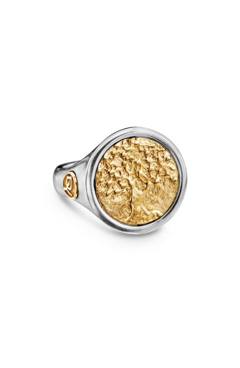 Life & Death Duality Signet Ring in Sterling Silver with 18K Yellow Gold