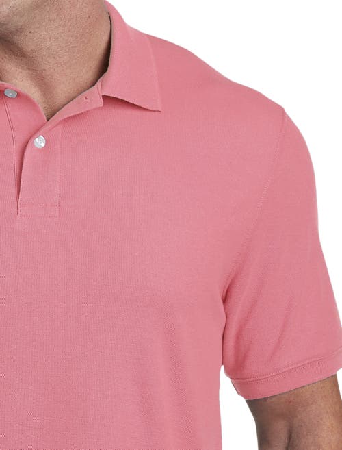 Xdmy Harbor Bay By Dxl Harbor Bay By Dxl Big & Tall Piqué Polo Shirt In Tea Rose
