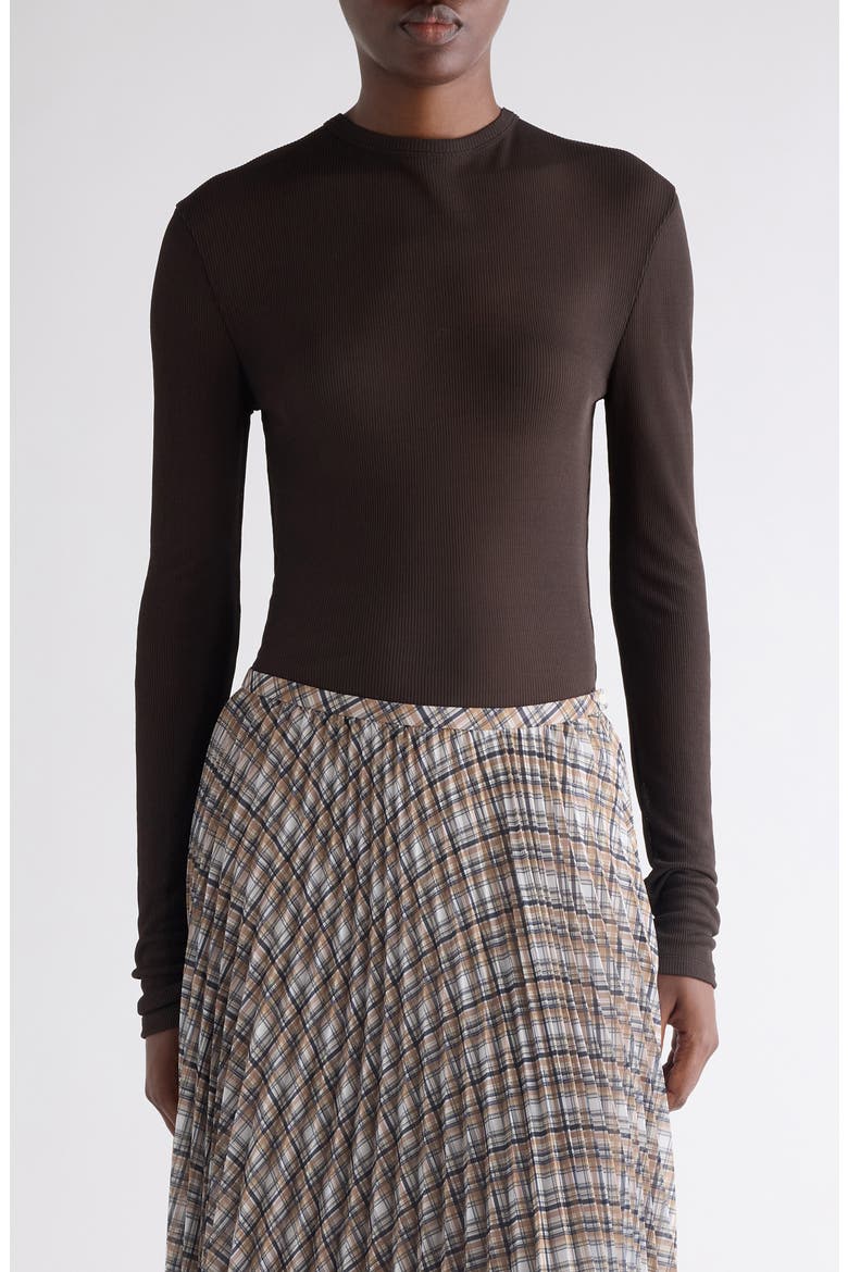 Semisheer Long Sleeve Rib T-Shirt, Main, color, DARK BROWN
