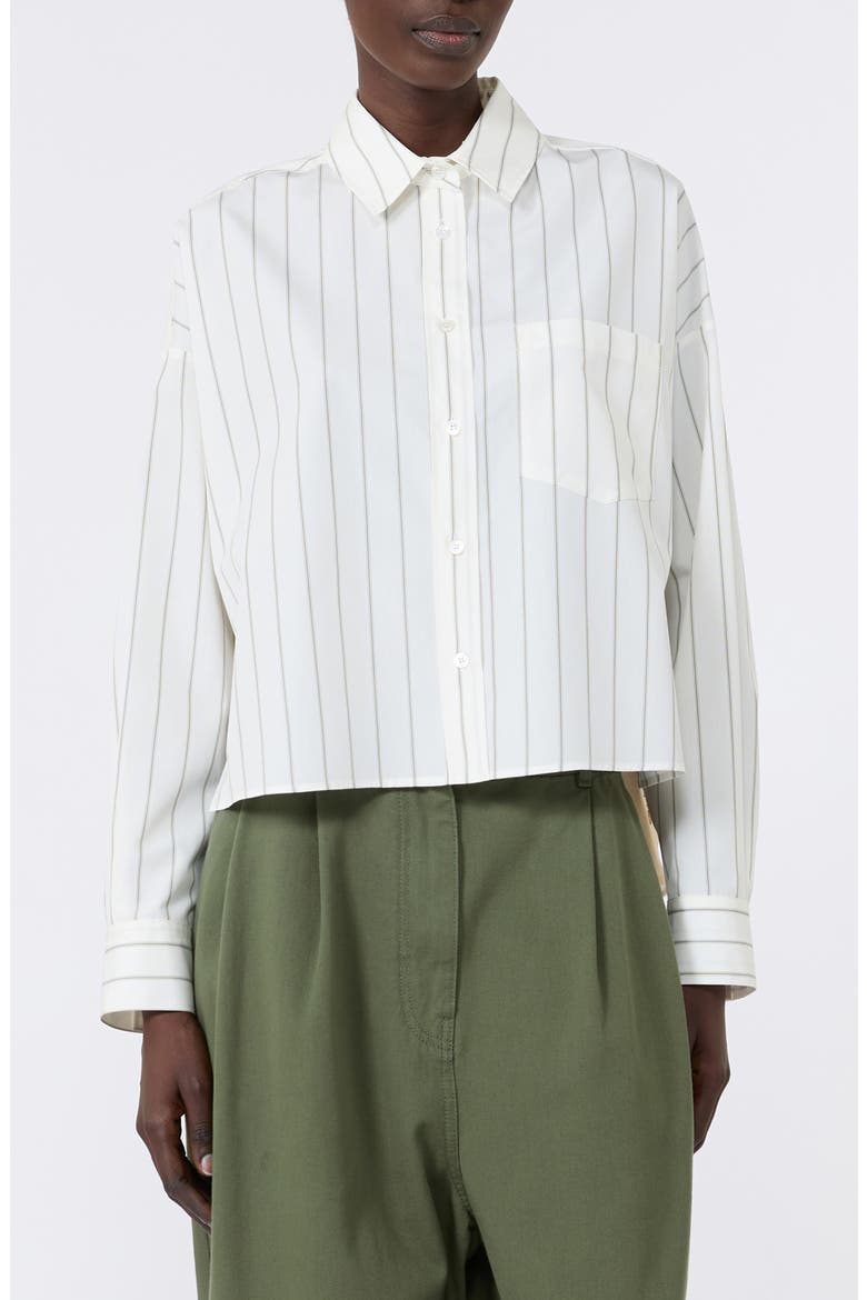 Certosa Pinstripe Cotton Shirt, Main, color, BROWN