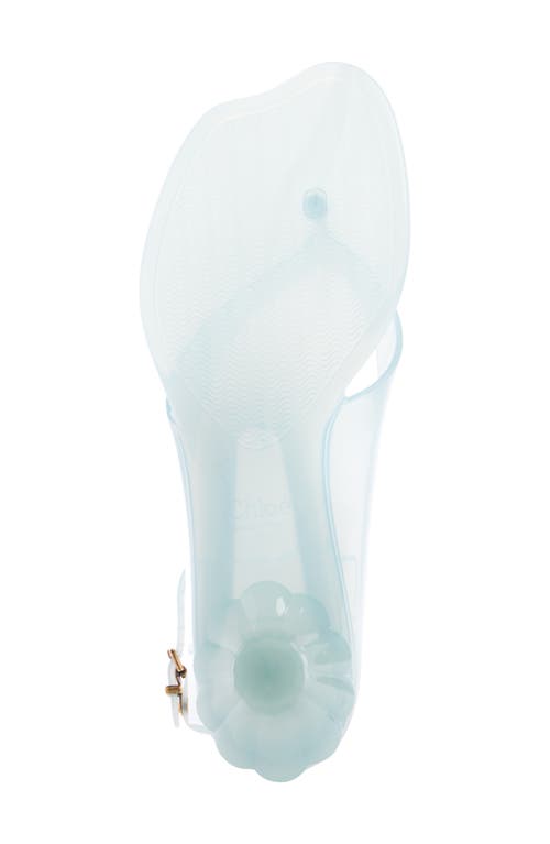 Chloé Jelly Sandals With Ankle Strap And Transparent Design In Spearmint