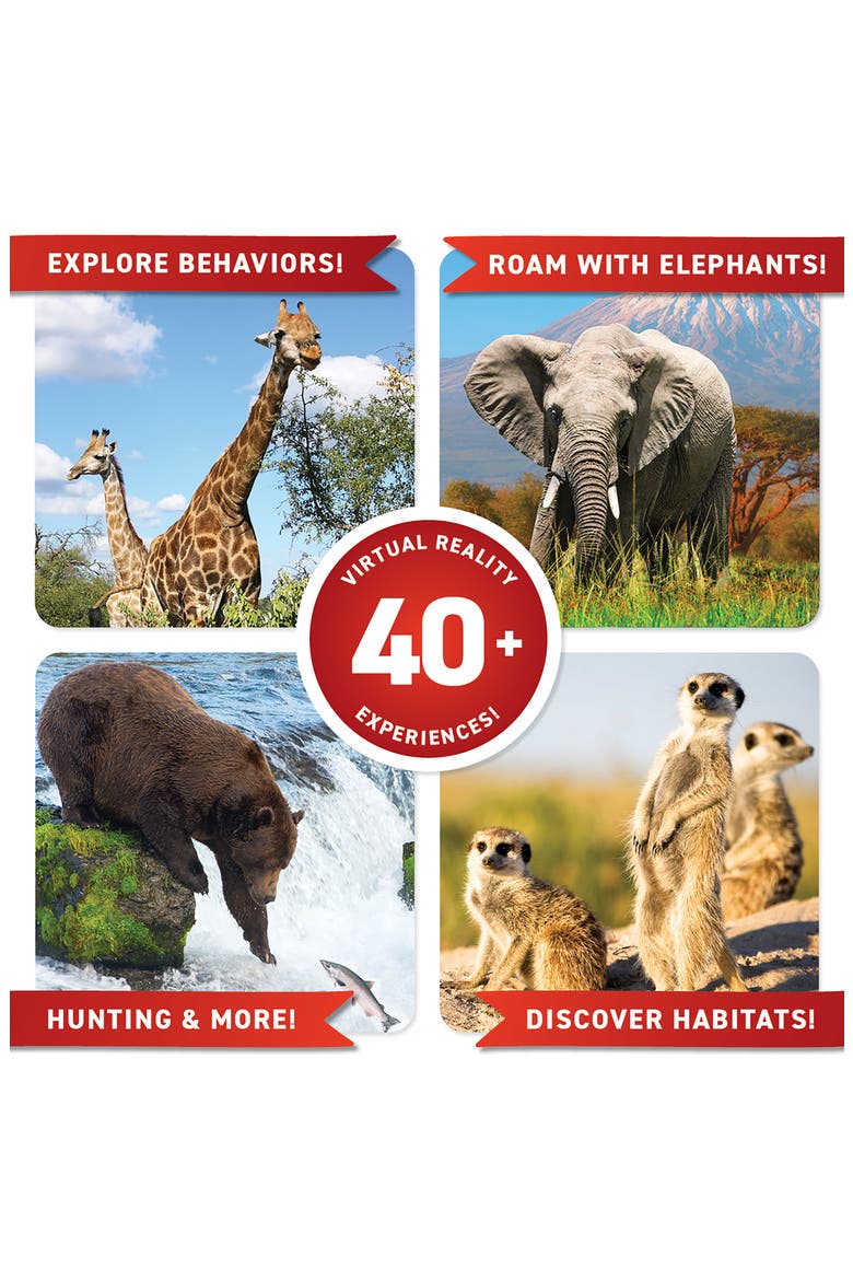 VR Animals Gift Box, Alternate, color, MULTI