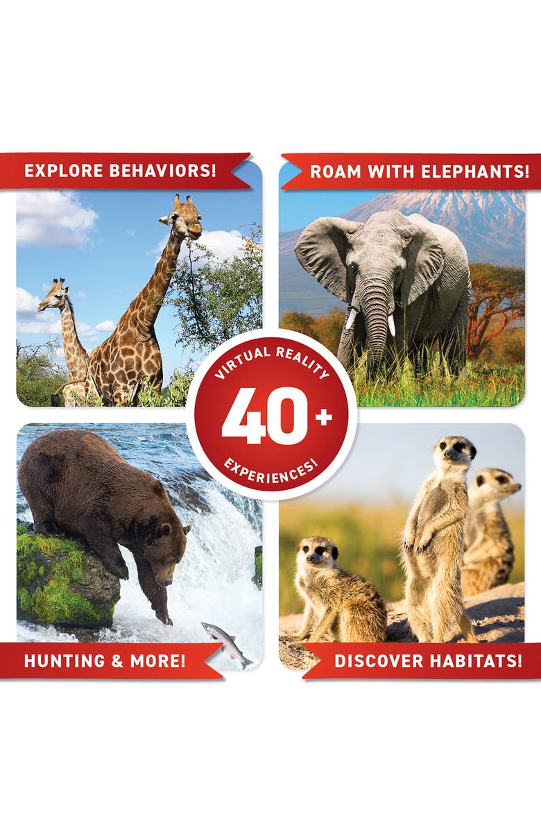 ABACUS VR Animals Gift Box, Alternate, color, Multi