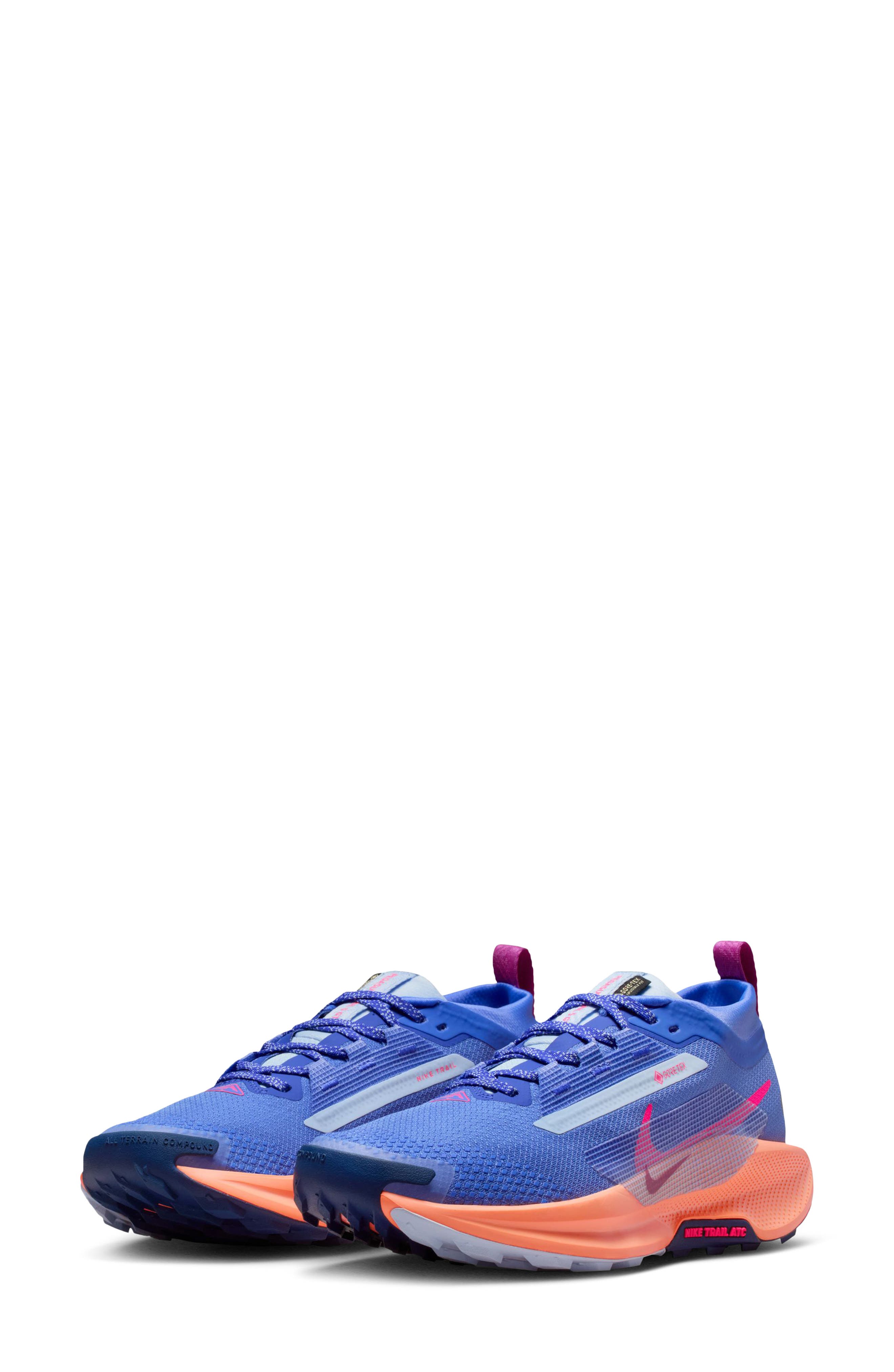 Nike Pegasus Trail 5 Gore-Tex<sup>®</sup> Waterproof Running Shoe, Main, color, 503 Saphre/Hyprpk