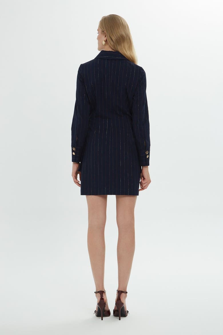 Striped Cotton Mini Shirt Dress with Gold Buttons, Alternate, color, Navy