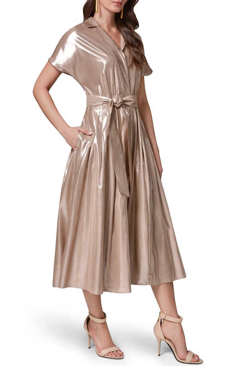 Metallic Belted Shirtdress, Alternate, color, SNOW PETAL/ SILVER