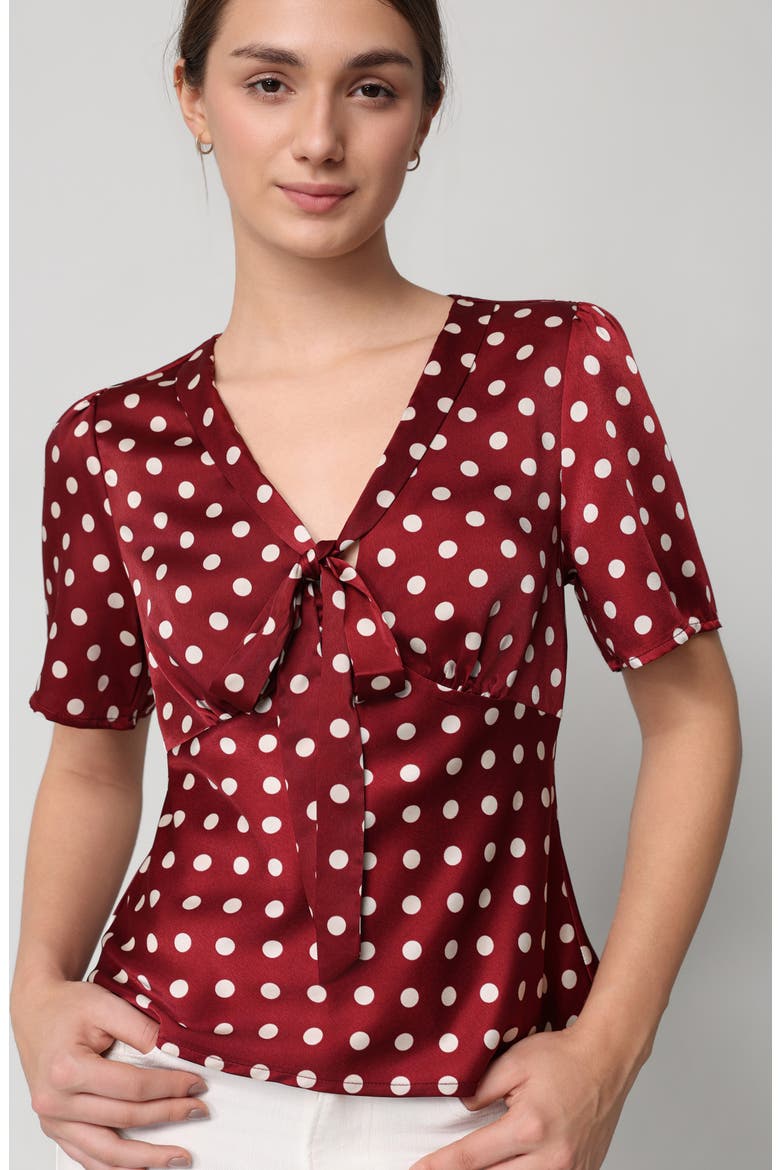 Tie Neck Short Sleeve Satin Top, Alternate, color, MAROON BONE DOT