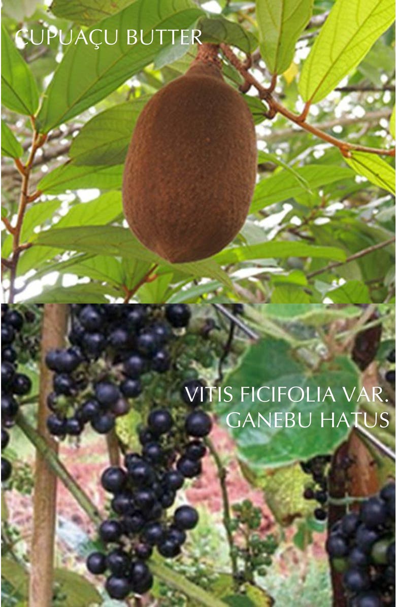 ALBION ECLAFUTUR t, Alternate, color, 30Ml