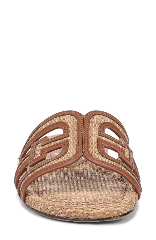 Sam Edelman Bay Slide Sandal In Brown