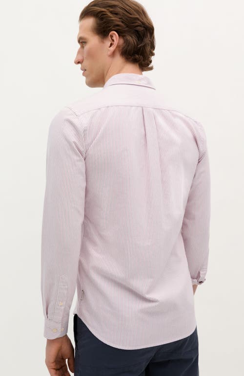 Scalpers New Oxford Bd Shirt In Pink
