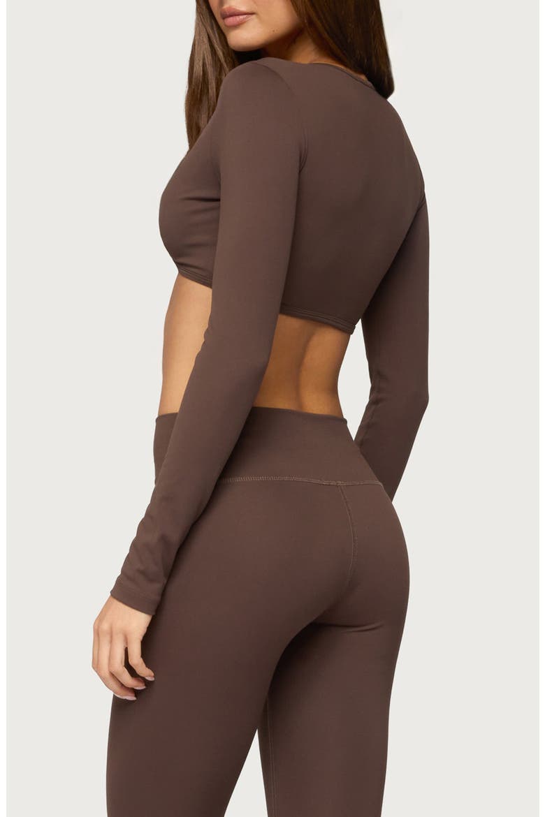 Faery Long Sleeve Crop Top, Alternate, color, BROWN