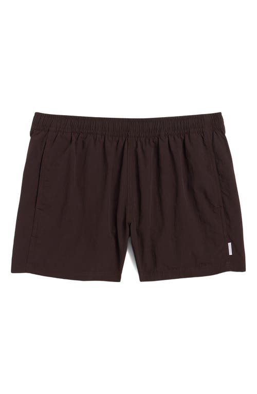 Auto-reply™ Sebastian Solid 4-inch Nylon Swim Trunks In Brown