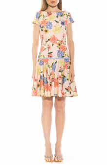 Alexia Admor Drop Waist Dress