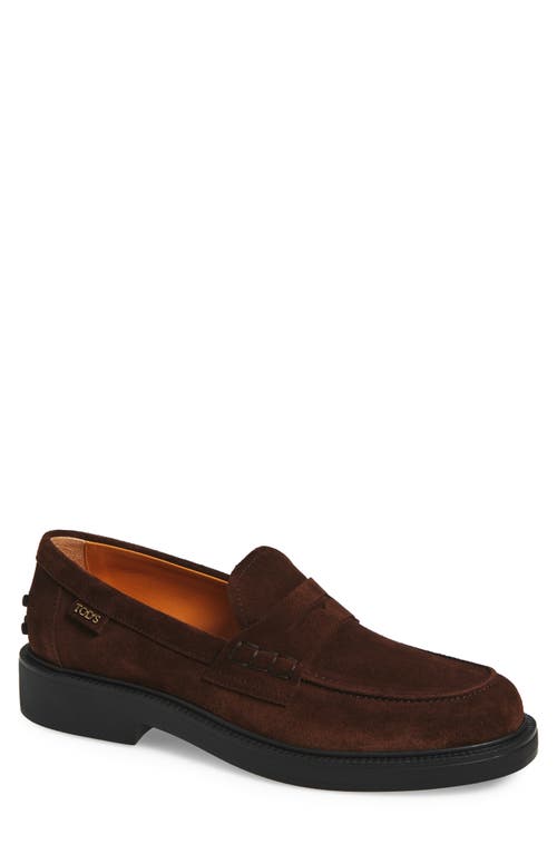 Tod's Penny-loafer Aus Wildleder In Brown