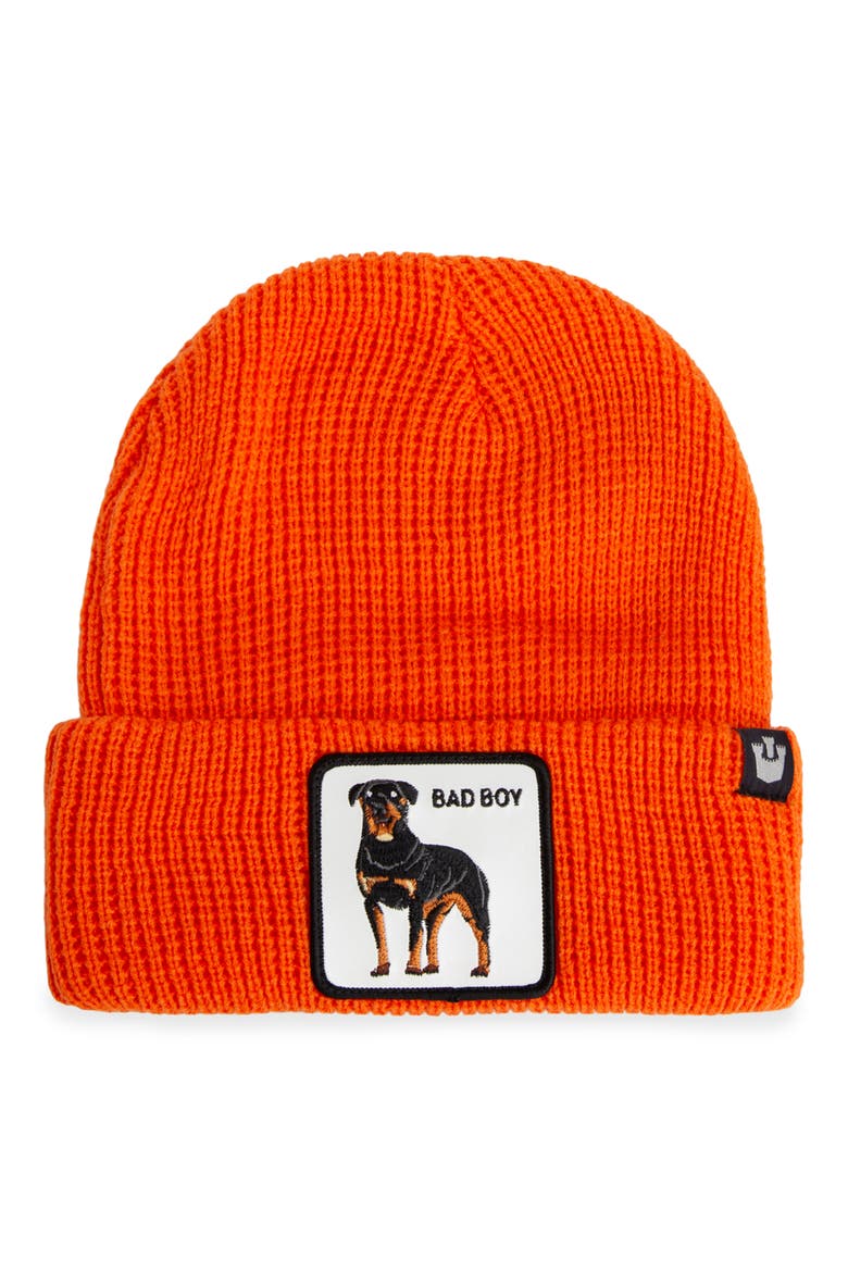 Alpha Beta Beanie, Alternate, color, ORANGE