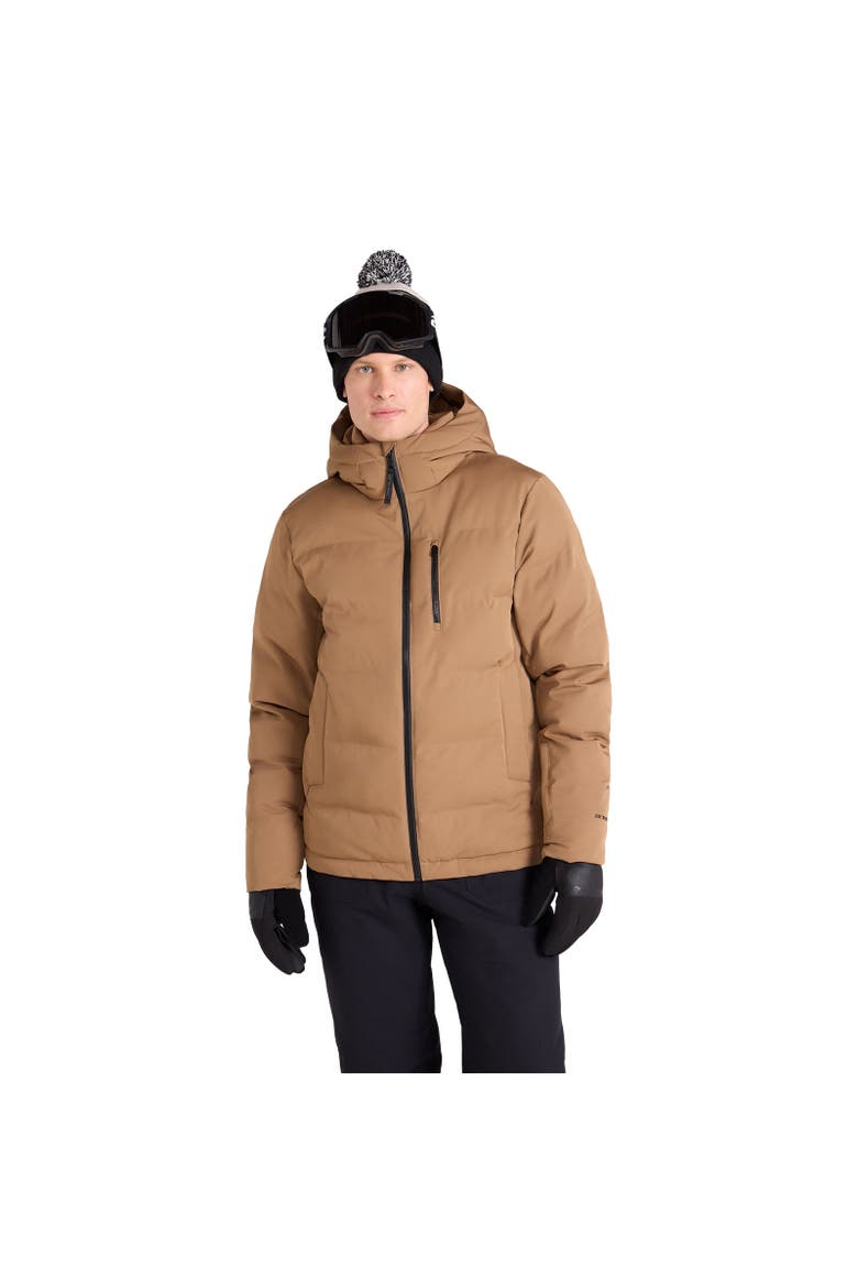 Polar Ski Jacket, Alternate, color, Brown