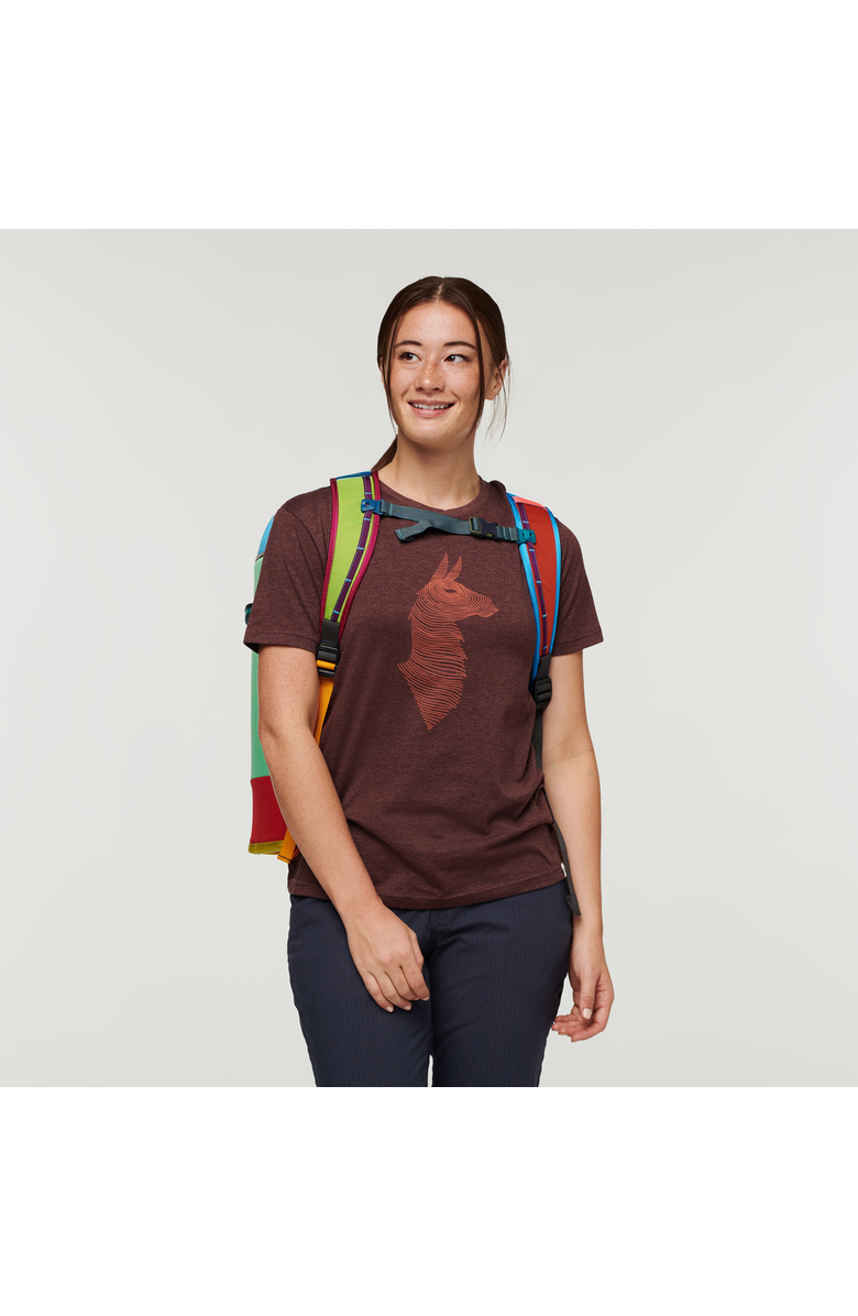 Cotopaxi Hielo 24L Cooler Backpack - Del Día, Alternate, color, Del Dia