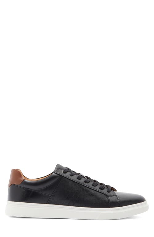 Steve Madden Strouz Low Top Sneaker In Black
