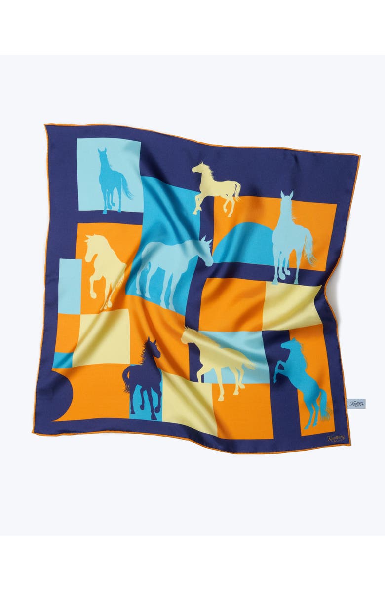Knottery & Co Cavalier Silk Bandana, Alternate, color, Navy & Orange