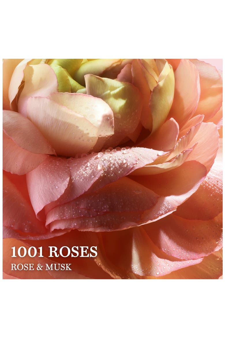Absolue 1001 Roses Eau de Parfum, Alternate, color, NO COLOR
