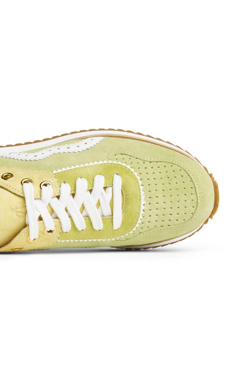 THE OFFICE OF ANGELA SCOTT THE OFFICE OF ANGELA SCOTT THE REMI SNEAKER