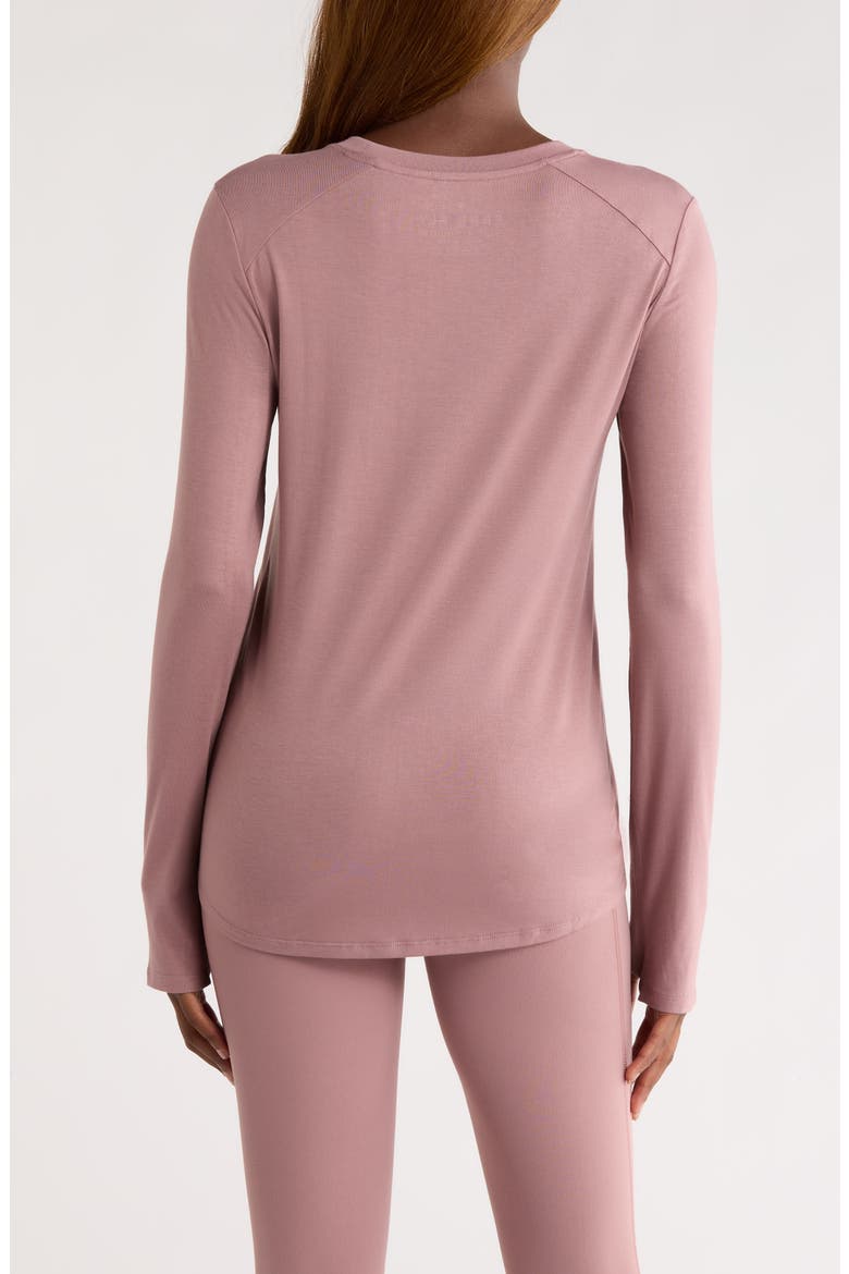 Shade Long Sleeve Top, Alternate, color, FIG