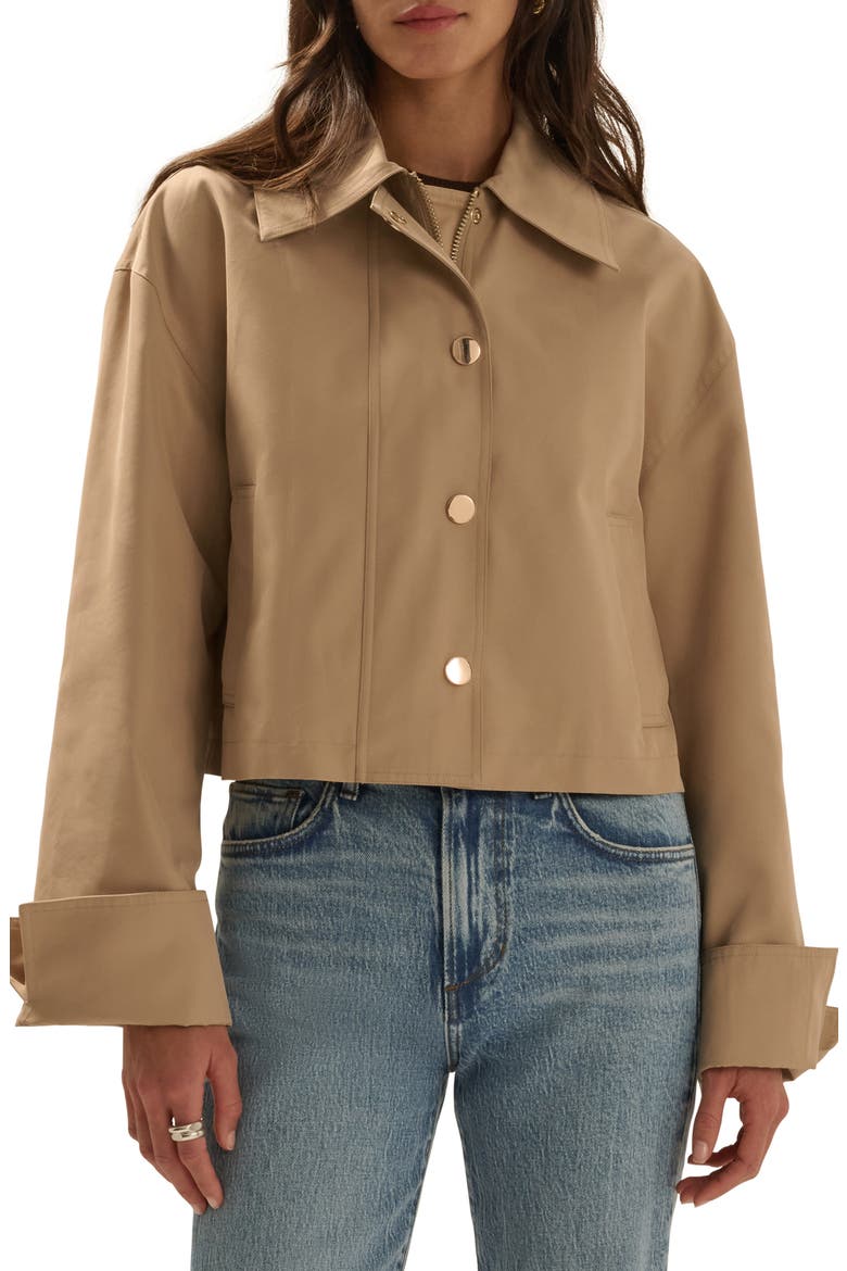 The Rue Cropped Trench video