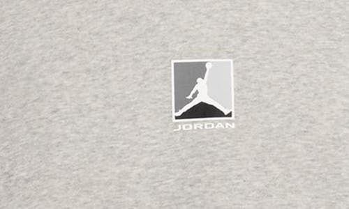 Jordan Graphic Print Brooklyn Fleece Hoodie In Gray