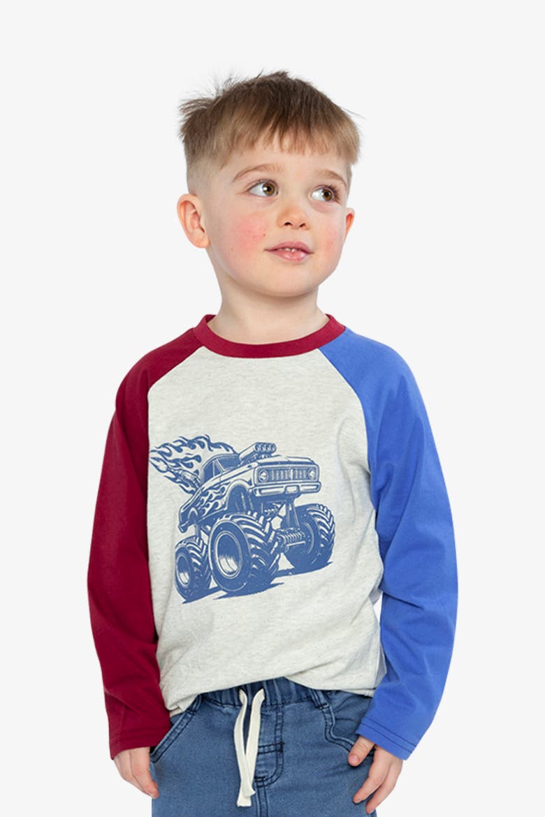 Ribbed Crew Neck Raglan Sleeves T-Shirt, Alternate, color, Heather Grey, Red and Blue