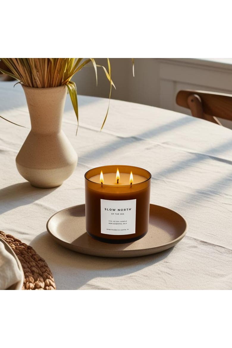 Of The Sea (Eucalyptus + Lavender + Peppermint) - Signature 3-Wick Candle, Alternate, color, Brown
