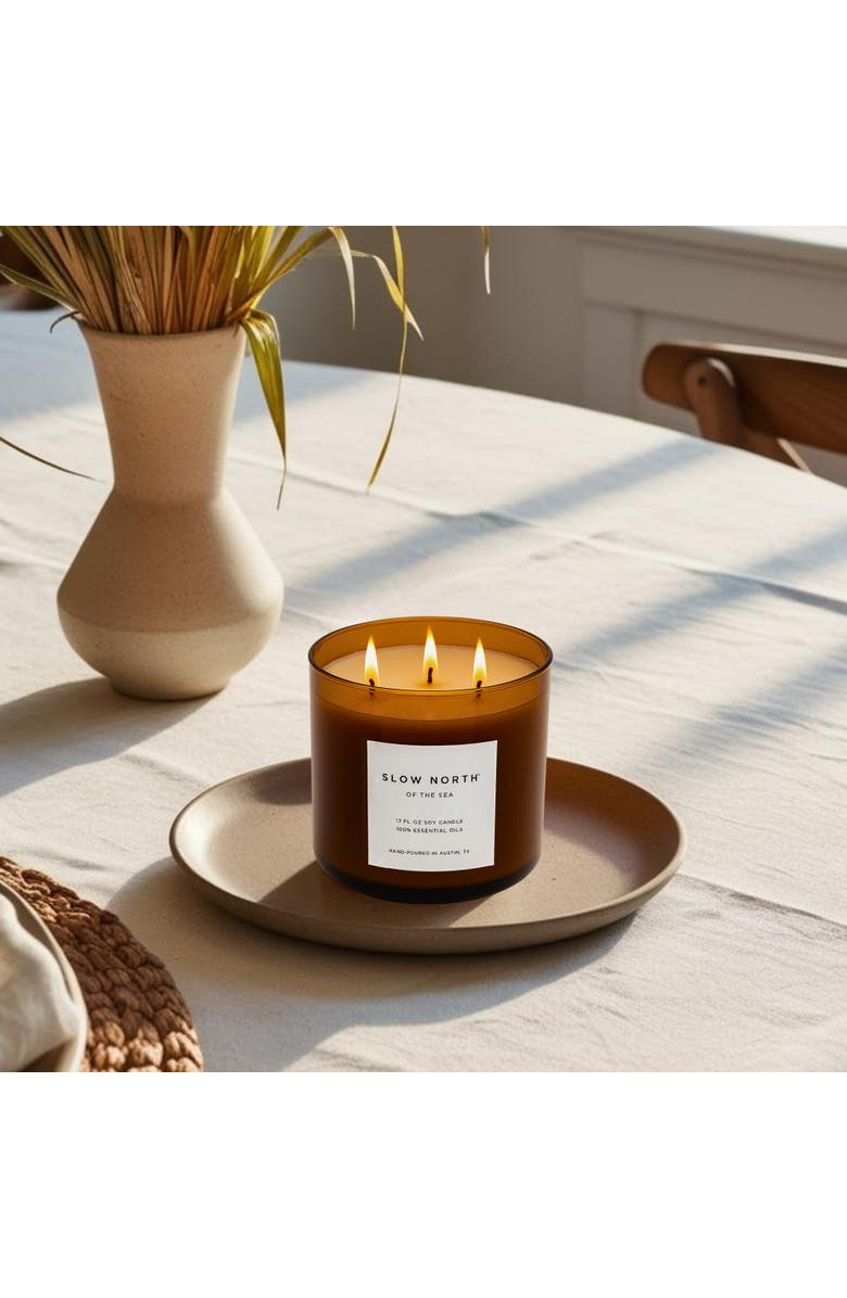 SLOW NORTH Of The Sea (Eucalyptus + Lavender + Peppermint) - Signature 3-Wick Candle, Alternate, color, Brown