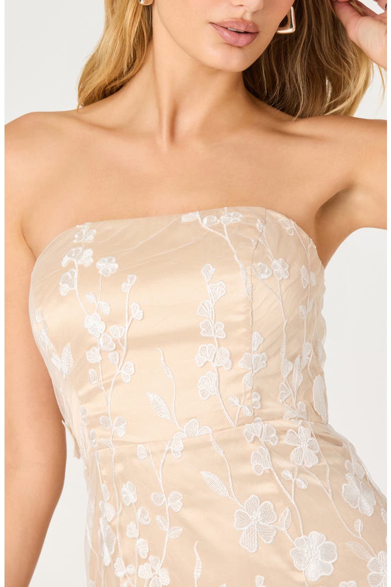 Tanisha 3D Floral Appliqué Semi Sheer Midi Dress, Alternate, color, WHITE