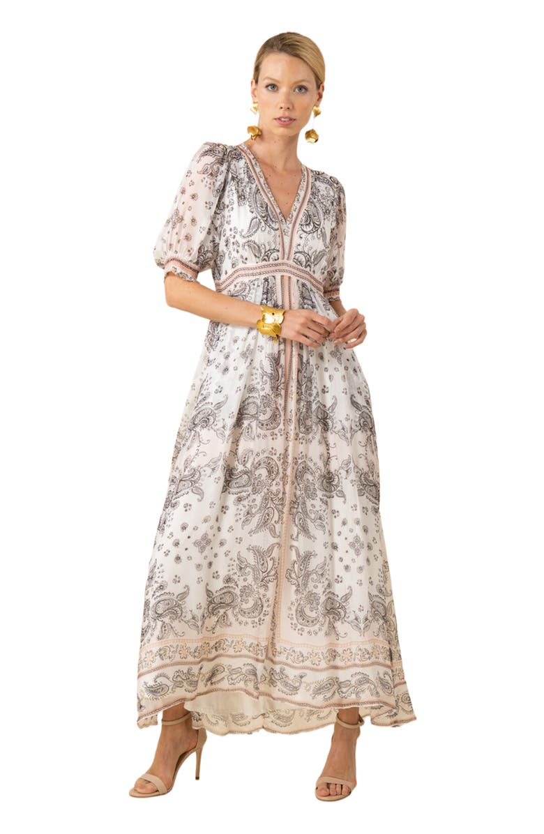 Hale Bob Lilian Chiffon Maxi Dress, Main, color, 