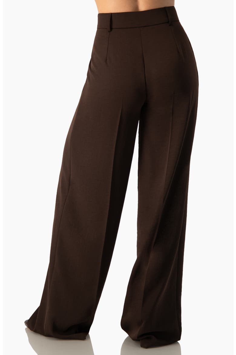 Fluid High-rise Pleated Wide-leg Trousers, Alternate, color, Brown