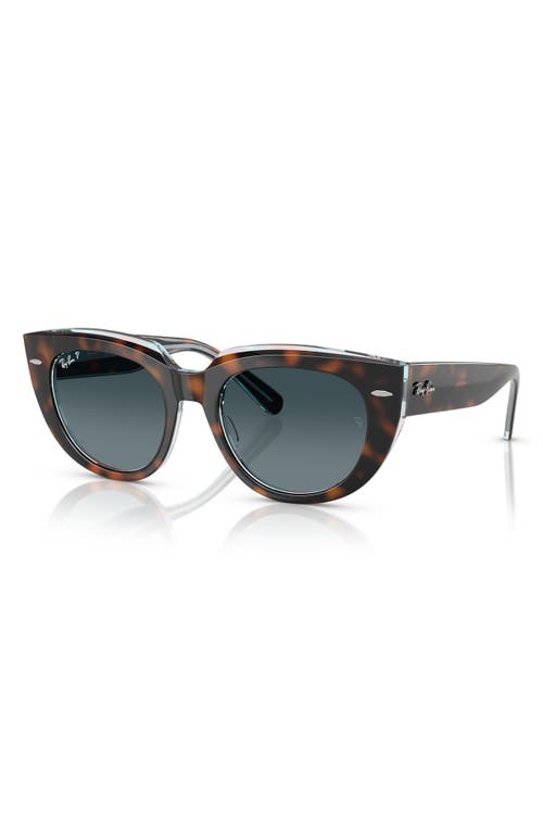 Ray Ban Ray-ban Ray-ban Doreen Rb2286 1413s3 In Brown/blue Gradient