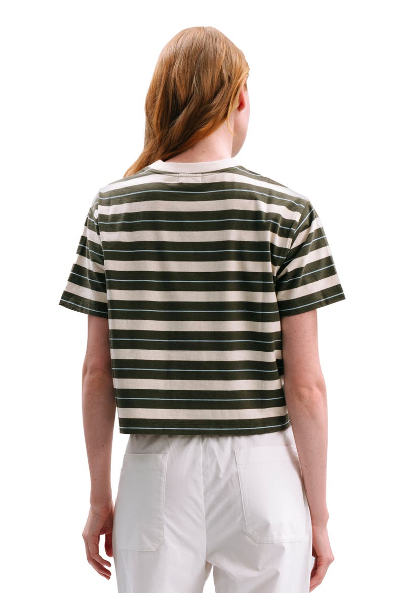 The Recycled Stripe Crop Tee, Alternate, color, Surplus Green Stripe