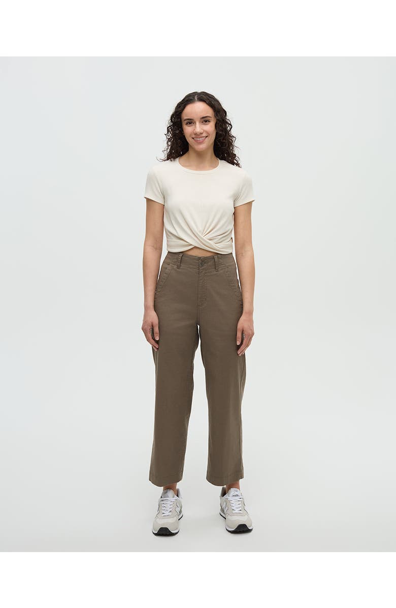 tentree Slocan Pant, Alternate, color, Timber