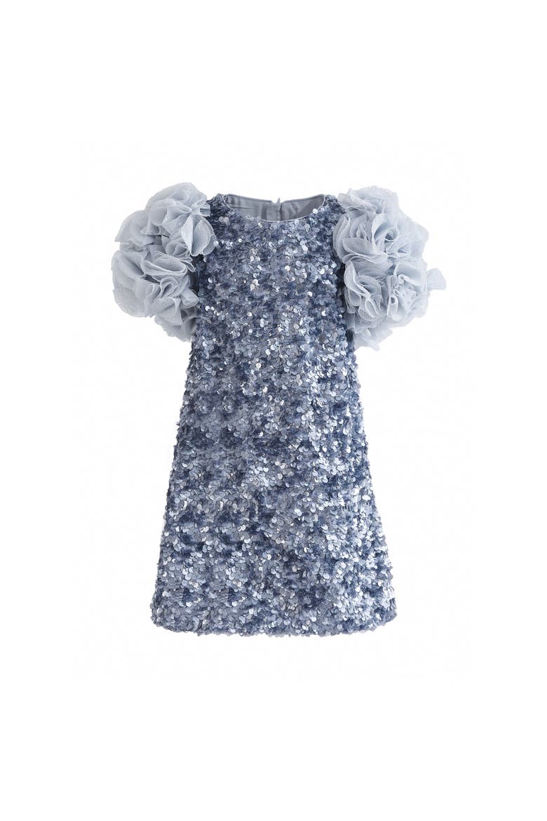 Seliora Floral Embellished Dress, Main, color, Blue