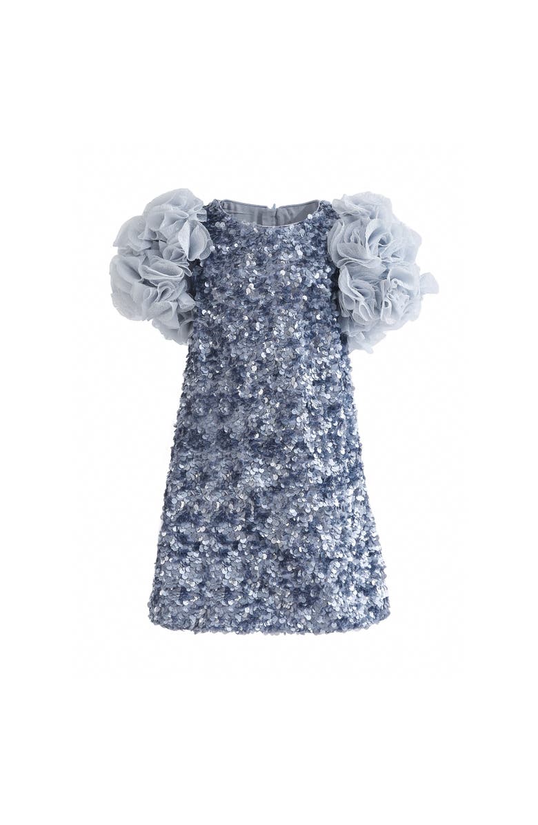 Tulleen Seliora Floral Embellished Dress, Main, color, Blue