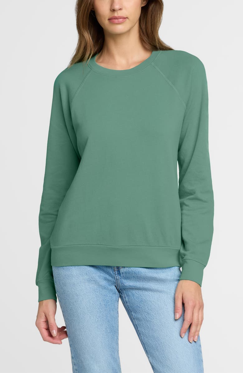 The Standard Stitch The Organic Cotton Raglan Sweatshirt, Main, color, Aloe