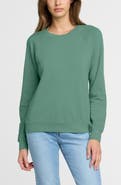 The Standard Stitch The Organic Cotton Raglan Sweatshirt