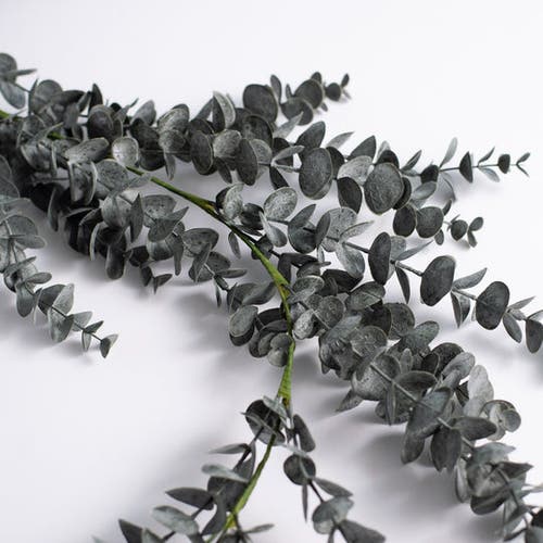 Darby Creek Trading Midnight Eucalyptus Fall Halloween Table Runner Mantel Garland In Black