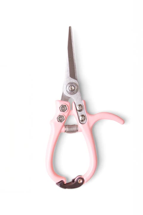 Pruning Shears