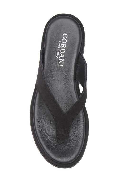 Cordani Kendra Platform Flip Flop In Black Suede