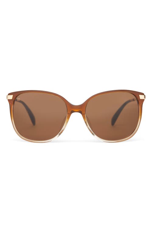 TOMS Sandela 55mm Gradient Square Sunglasses in Cappuccino Champange Fade 