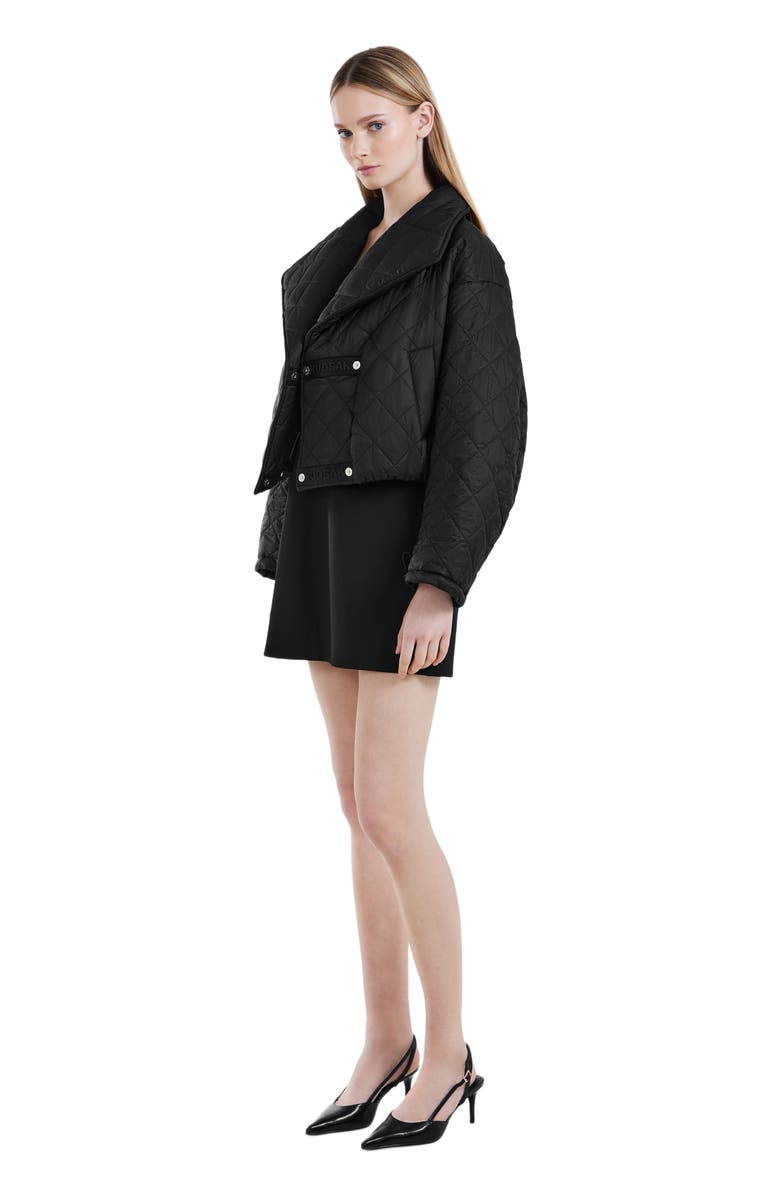 Rudsak KALEE WOMEN'S QUILTED SHORT COAT, Alternate, color, Black