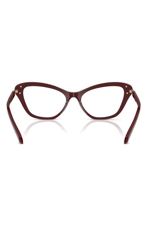 Swarovski 55mm Cat Eye Optical Glasses In Burgundy