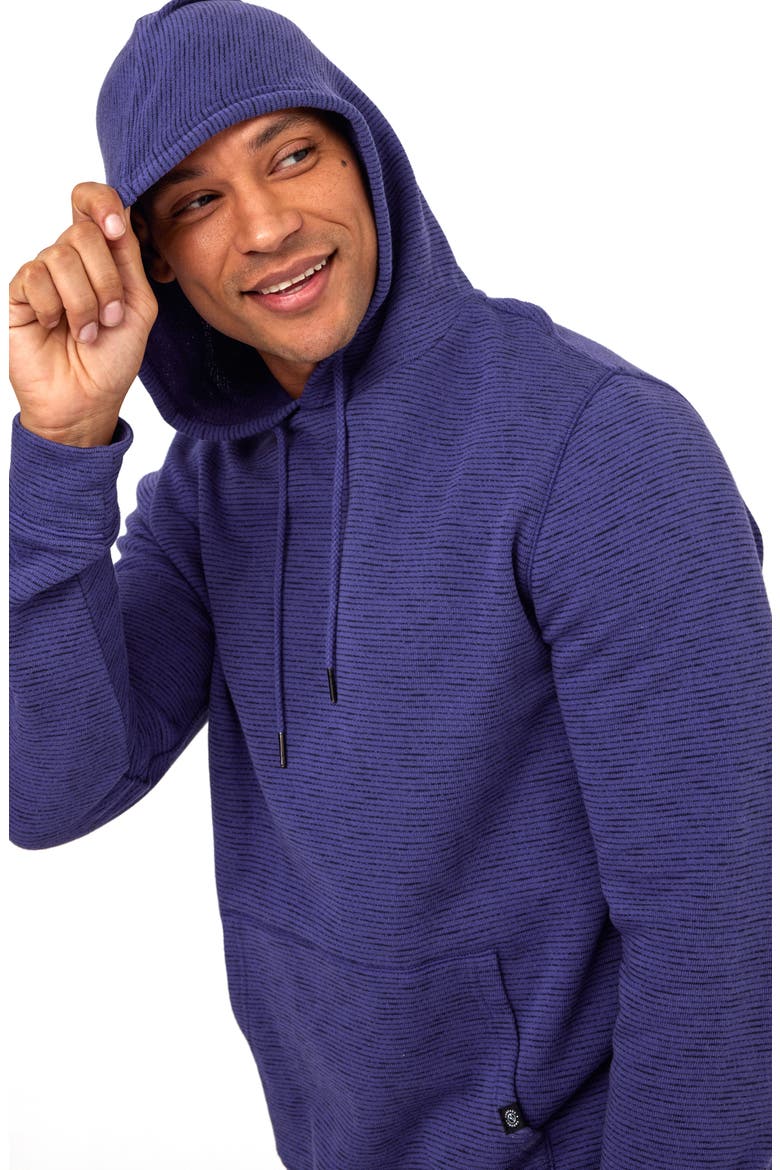 Nico Stripe French Terry Hoodie, Alternate, color, STARLING / STARGAZER