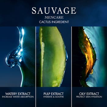 Sauvage Skin Care Ritual Set